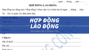 hợp đồng lao động, vpls dương công