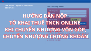 chuyển nhượng vốn, vpls dương công