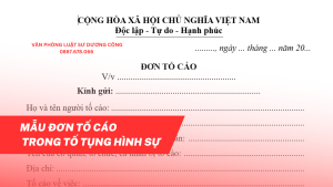 đơn tố cáo, vpls dương công