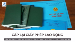 giấy phép lao động, vpls dương công