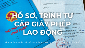 giấy phép lao động, vpls dương công