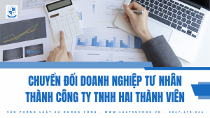 chuyển đổi doanh nghiệp tư nhân, vpls dương công