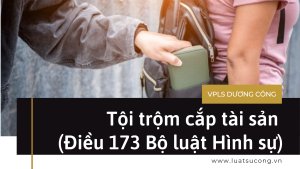 tội trộm cắp tài sản, vpls dương công