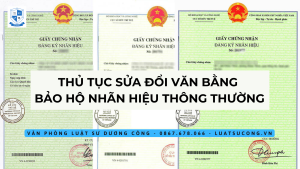 sửa đổi văn bằng bảo hộ, vpls dương công