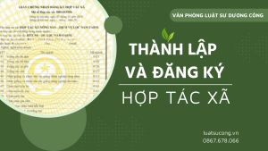 hợp tác xã, vpls dương công