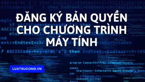 bản quyền, vpls dương công