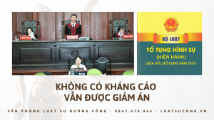 không kháng cáo, vpls dương công