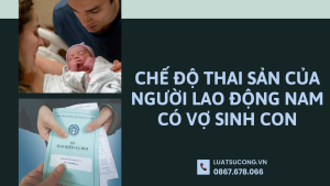 chế độ thai sản, vpls dương công