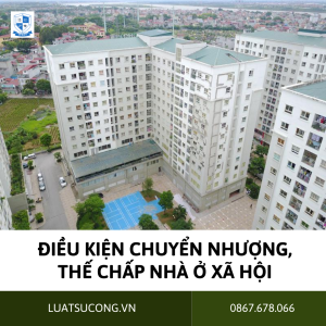 chuyển nhượng nhà ở, vpls dương công