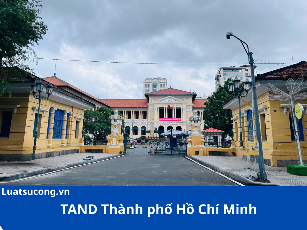 Luật sư Công