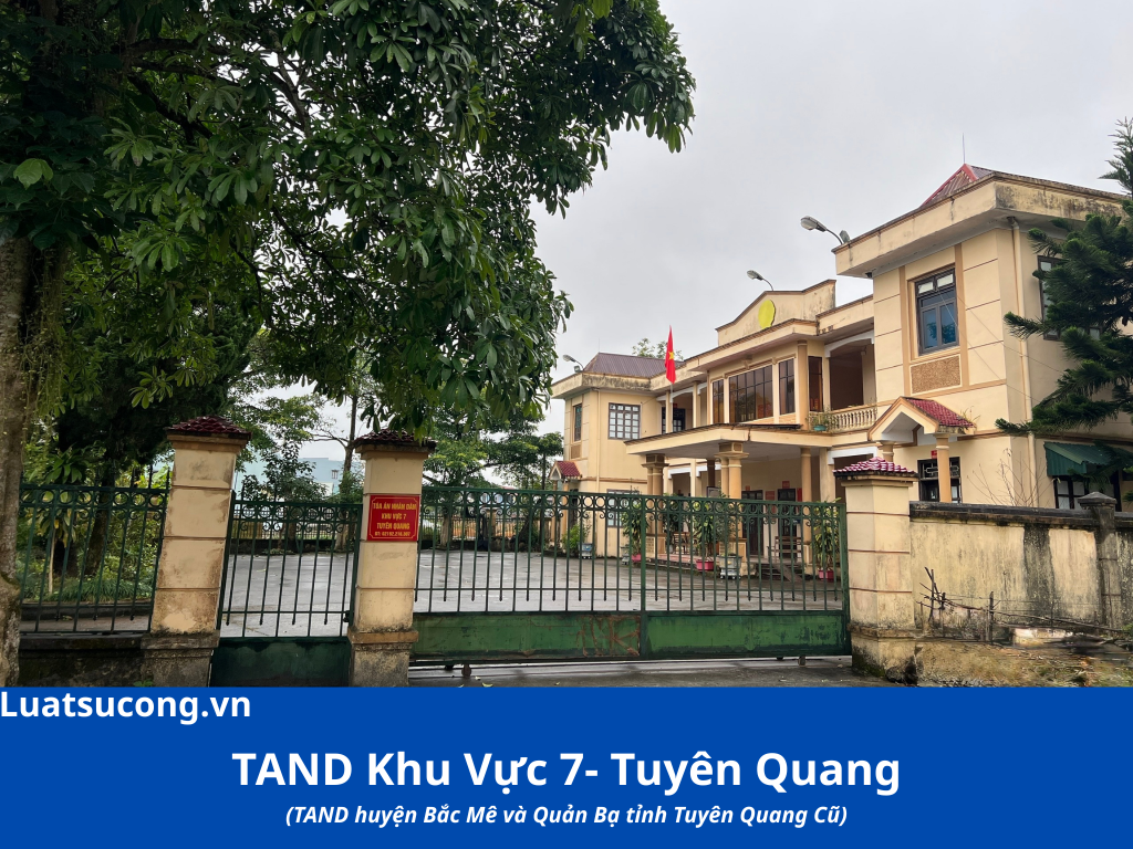 Luật Dương Công